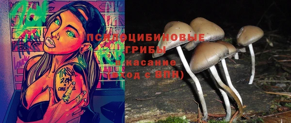 ГАЛЛЮЦИНОГЕННЫЕ ГРИБЫ Алексеевка